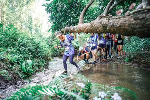 BIB: 
                            <button type="button" onclick="openModal(25476252)" class="btn btn-primary btn-sm float-right btn-popup" data-toggle="modal" data-target=".modal-high-quality">
                        <i class="fas fa-shopping-cart"></i> Add to Cart
                    </button>
                                            <button type="button" onclick="isThisMe(25476252, true)" class="btn btn-success btn-sm float-right btn-popup btn-isme hidden" data-toggle="tooltip" data-placement="bottom" title="นี่คือรูปของคุณใช่ไหม คลิกที่นี่เพื่อเอาเข้าอัลบั้ม">
                        <i class="fas fa-plus"></i> Add to album
                    </button>
                    <button type="button" onclick="isThisMe(25476252, false)" class="btn btn-warning btn-sm float-right btn-popup btn-isnotme hidden">
                        <i class="fas fa-ban"></i> Remove from album
                    </button>